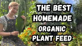 BEST ORGANIC PLANT FEED EVER!! How To Make Comfrey Plant Feed - FREE PLANT FEED!