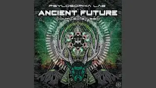 The Past Returns (Original Mix)