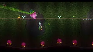Plantera Infernum Guide: All Classes