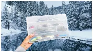 My ONE Tackle Box For WINTER BASS FISHING!