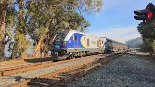 Amtrak Capitol Corridor #737 at Eckley Pier with CDTX #2103 SC-44 and #8302 Cab Car