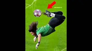 Rare Goalkeeper Moments 💀#5