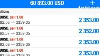 Top 3 Forex Signal Groups for Funded Traders