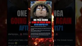 ONE PIECE MANGA GOING ON BREAK AGAIN AFTER CHAPTER 1171