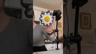 A day in my life as a cookie decorating content creator!