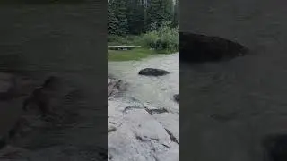 Let there be water! 🌊