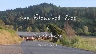 Sun Bleached Flies x Everywhere TEM-PLE REMIX