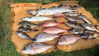 SC offshore fishing