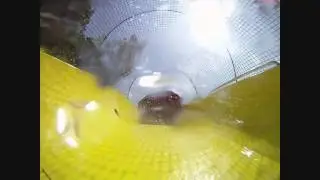 World's 2nd Longest Water Coaster: Wildebeest POV in HD