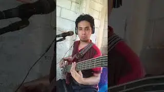 el buho cover bass (bajo electrico) |  natanael cano