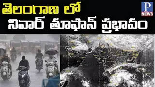 తెలంగాణ లో నివార్ తూఫాన్ ప్రభావం | AP TS Weather Report | Nivar Cyclone Effect In Telangana | P News
