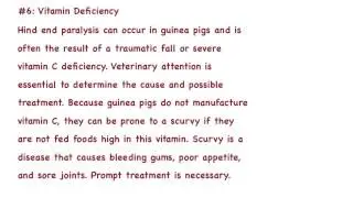 Common Guinea Pig Diseases