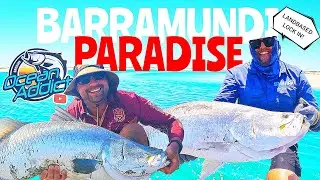 Paradise for Monster Wild Barramundi - Locked in Remote 🇦🇺 Creek - Land based.