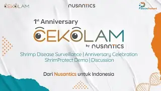 1st Anniversary CeKolam by Nusantics