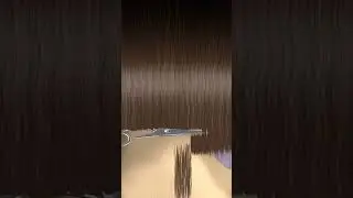 Hair cutting sound #scissors #sound #shorts #short