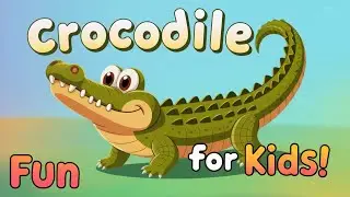 Letter C is for a Crocodile 🐊 | Learn the Alphabet with Kiwooza Friends | ABC song