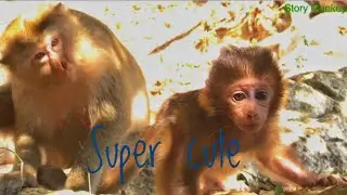 Super super cute baby Baron Really attractive , Look he so beautiful and lovely😍😍😍😍