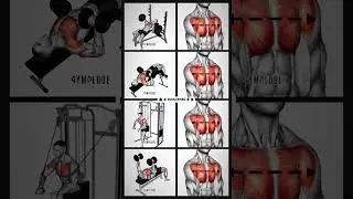 CABEL CHEST GAIN WORKOUT #motivation #chestexercises #Chest #workout