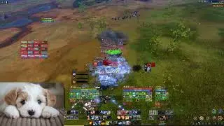 Testing Archeage after a break