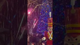 Fireworks at Magic Kingdom