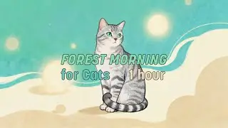 Forest Morning for Cats | Nature-Inspired Analog Pads