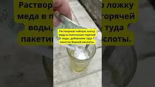 Муравьи 5 лет не возвращаются! Старый Забытый Рецепт от муравьев и тли!  #огород #вредители
