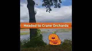 Visit to Crane's Orchards #michigan #cider #vlog #orchard