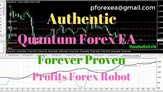 Authentic Forex EA Robot | Quantum Computing Forex Robot EA | Forever Proven Forex EA