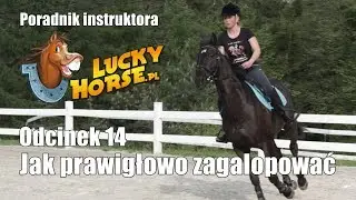 Porady LuckyHorse.pl - Odc14 - Jak prawidłowo zagalopować