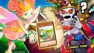 MIMIGHOUL VERNUSYLPH deck (COMBO VERSION❗) | The Infinite Forbidden