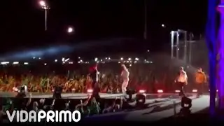 Festival Presidente [Live]