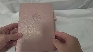 HONEST REVIEW of Clever Fox Password Book alphabetical tabs. Internet Organizer Logbook. Rose Gold