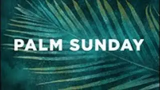 Life Church Live