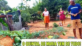 VEJA COMO ESTÁ O QUINTAL DE MARIA E NEQUIM! TEM DE TUDO