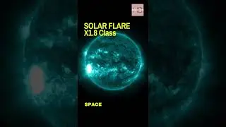 Shocking X8.1 Solar Flare Capture #shorts #nasa #science