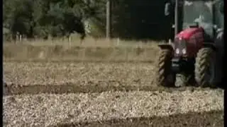 Seed Export
