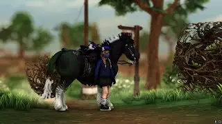 The Tumbleweed Rodeo || 00:41:48 || SSO Shortcuts