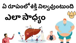 How human body stores its energy In Telugu | Sabadi Glucose vs ketone Energy