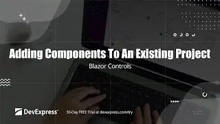 Adding DevExpress Blazor Components to an Existing Project (.NET 8)