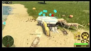 A Wolf Pack's Survival YSU Wildfire Pack 3