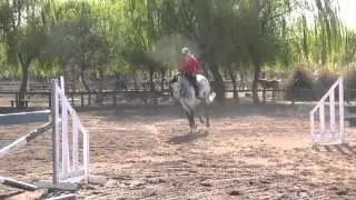 SR Stables - Concargo