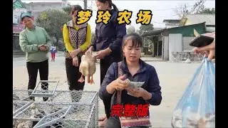 梦玲农场 经过一年的努力 现在总算可以将院子的家禽售卖出去#田园生活 #小院改造 #记录我的农村生活