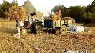Wheat Thresher Machine Working Video | Wheat threshing in India | Wheat threshing | Aadhunik Krishi