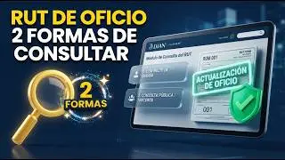 Consulta de Actualizaci&oacute;n de Oficio RUT DIAN 2024