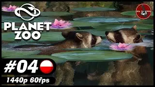Powitajmy Szopy pracze | #4 | Planet Zoo PL