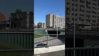 Лесной луг крест Киль