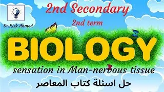 Biology // sensation in man - nervous tissue (Q & A) // 2nd sec - 2nd term : Egypt حل اسئلة المعاصر