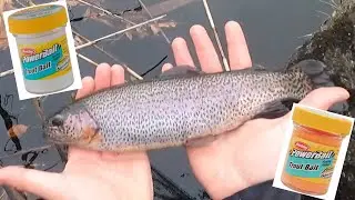 Rainbow Trout on Powerbait: Long Island NY