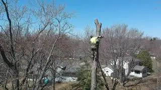 Rigging technique, Minneapolis  MN Tree Climbing