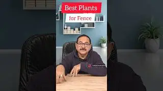 Best Plants for Fence: A Stunning Choice for Your Garden #outdoorplants #homegarden